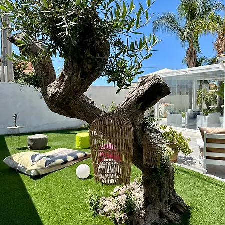 Couette-café Masa Zingarello